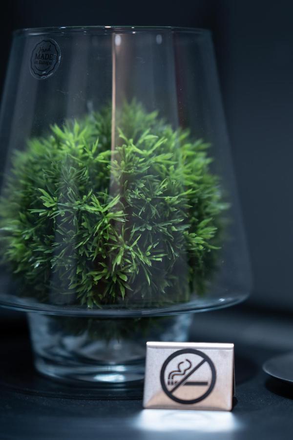 Elysium Residence 蒂米什瓦拉 外观 照片